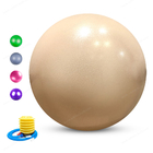 سلامتی پیلاتس معلم پایداری 55 سانتی متر توپ تعادل یوگا با توپ تمرین توپ توازن یوگا توپ توپ