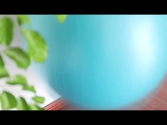 پی وی سی ضد انفجار تناسب اندام توپ یوگا 45 سانتی متری با پمپ هوا تجهیزات ورزشی توپ ورزشی توپ یوگا